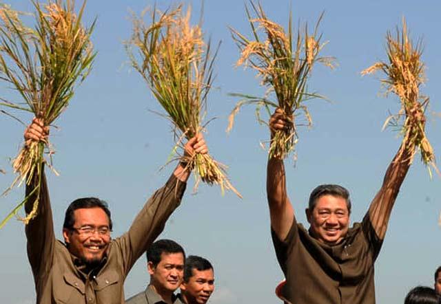 Teknologi Tepat Guna, Surplus Beras 10 Juta Ton akan Tercapai 
